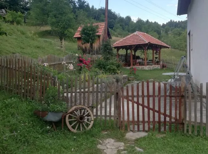 Domacinstvo Sindzirevic