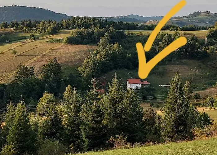 Domacinstvo Sindzirevic *